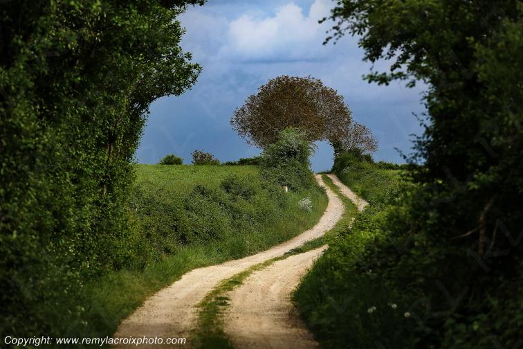 Croix de Bel Goutrens Aveyron Occitanie France www.remylacroixphoto.com