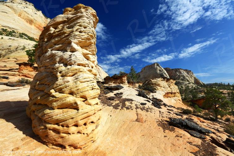 Mount Carmel Highway Zion National Park Utah USA