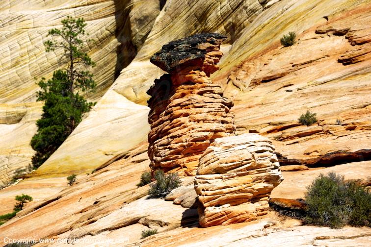 Mount Carmel Highway Zion National Park Utah USA