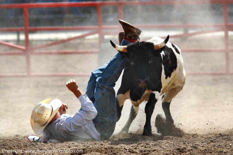 Rodeo Cheyenne Frontier Days Steer wrestling Wyoming USA www.remylacroixphoto.com