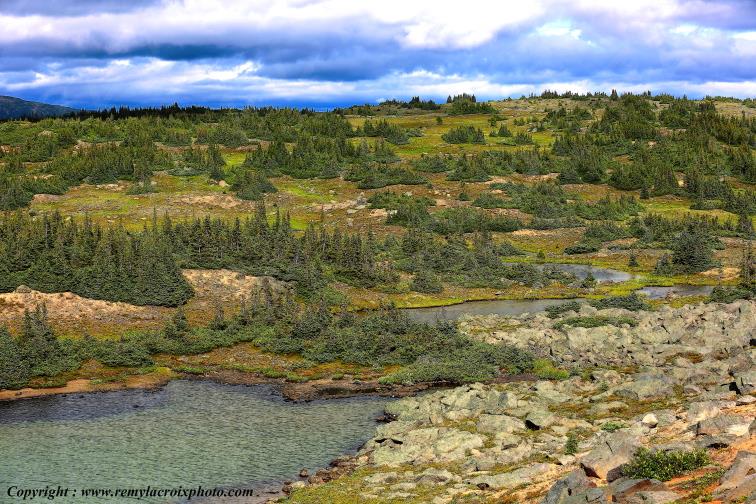 Tweedsmuir Provincial Park British Columbia Canada www.remylacroixphoto.com #tweedsmuir #britishcolumbia #canada