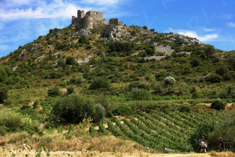 Ch�teau Cathare d'Aguilar vignoble du Haut-Fitou Corbi�res Aude France