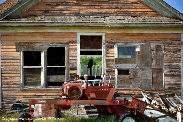 Grand Duc d'Am�rique Val Marie Great Plains Saskatchewan Canada www.remylacroixphoto.com #canada #saskatchewan