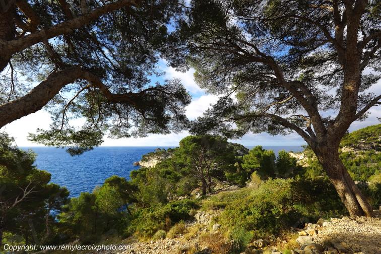 Calanque de Port-Miou Bouches du Rh�ne Provence Alpes C�te d'Azur PACA France www.remylacroixphoto.com