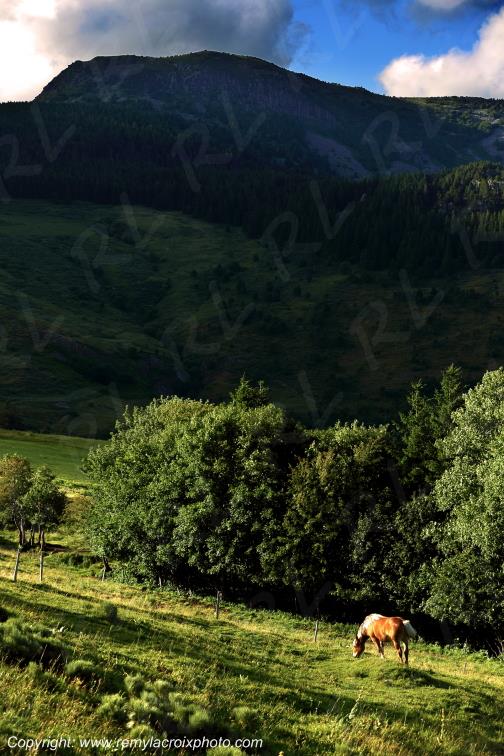 Mont Mezenc Ard�che Rh�ne Alpes France