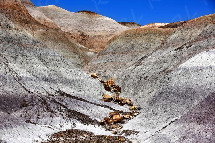Blue Mesa Petrified Forest National Park Arizona USA
