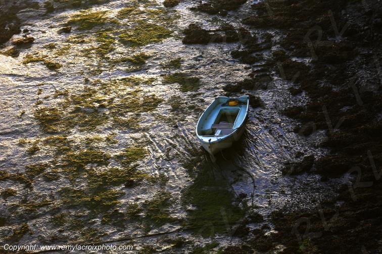 Presqu'�le de Quiberon C�te Sauvage Morbihan Bretagne France