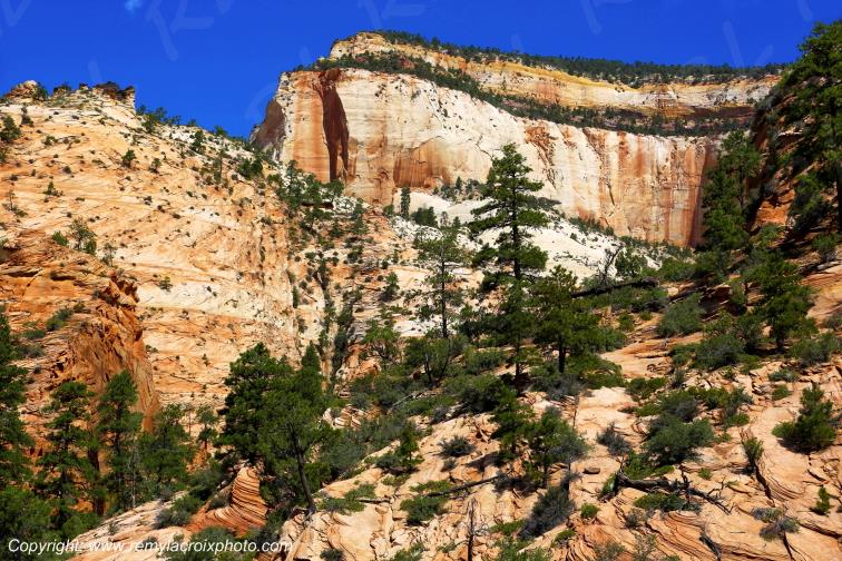 Mount Carmel Highway Zion National Park Utah USA