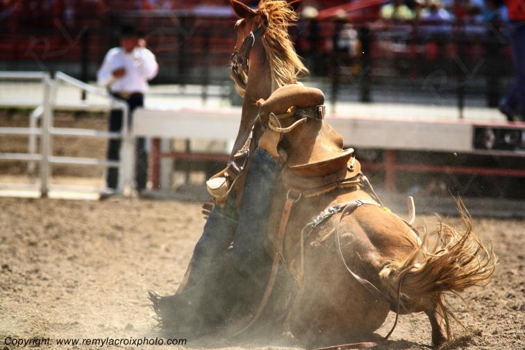 Rodeo Cheyenne Frontier Days Wyoming USA www.remylacroixphoto.com