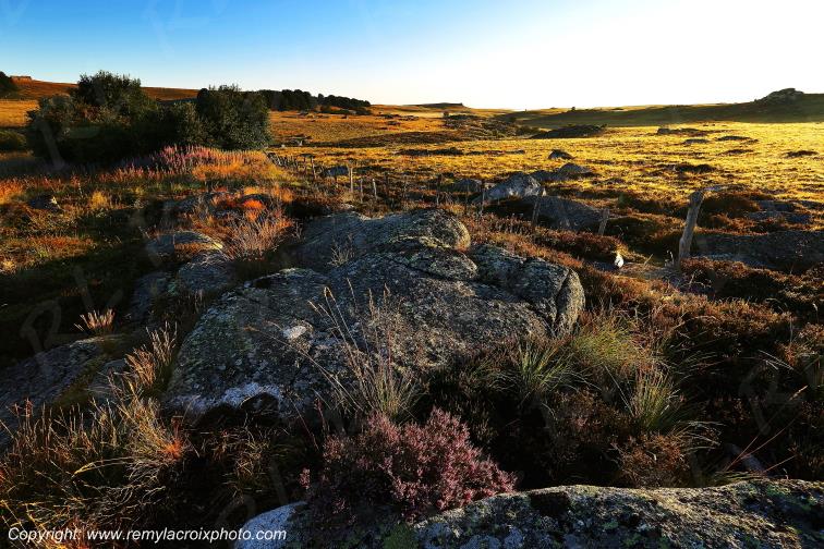 Col de Bonnecombe Aubrac Loz�re Languedoc-Roussillon Occitanie France www.remylacroixphoto.com