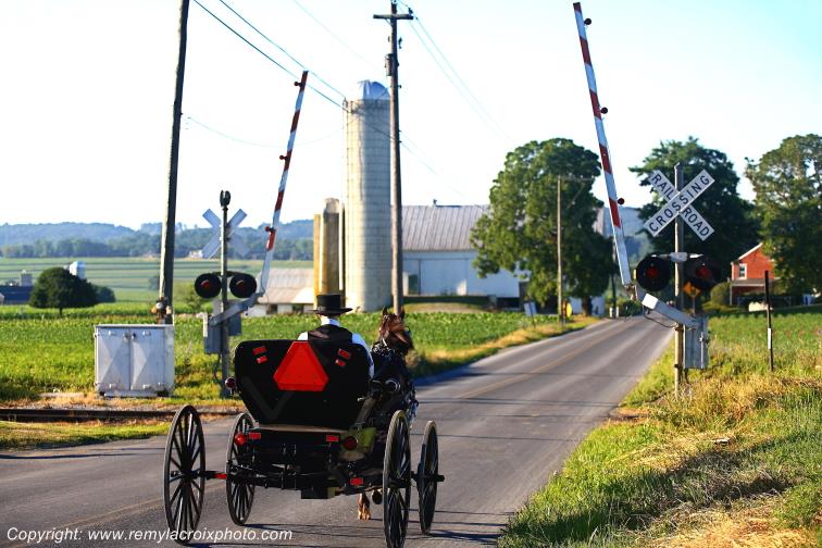 Lancaster Dutch County Amish Buggy Pennsylvania Pennsylvanie USA ww.remylacroixphoto.com