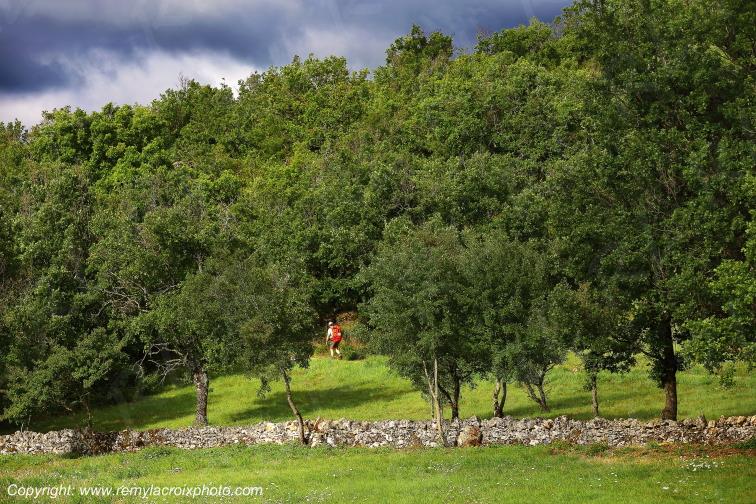 Cirque de Navacelles rive Nord Blandas Gard Occitanie Languedoc Roussillon France www.remylacroixphoto.com