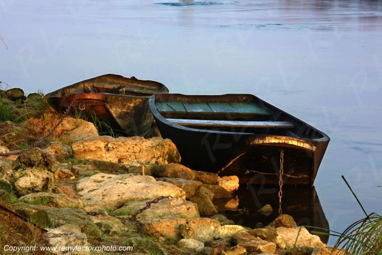 Candes Saint Martin la Vienne Indre et Loire Centre Val de Loire France