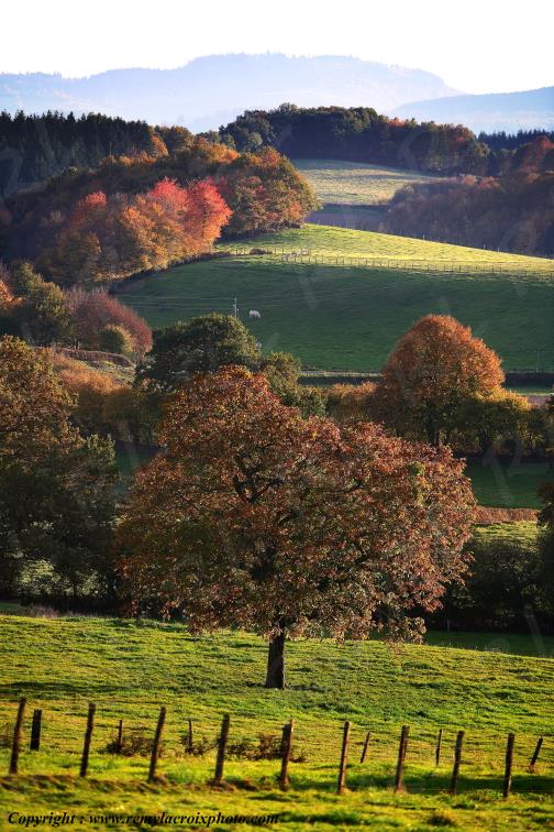 Saint L�ger sous Beuvray Morvan Sa�ne et Loire Bourgogne Franche Comt� France www.remylacroixphoto.com