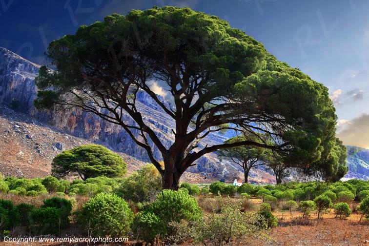 Kalogria r�serve naturelle P�loponn�se Gr�ce Peloponnese Greece