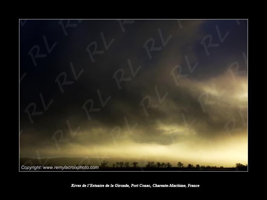 Rives de l'Estuaire de la Gironde Port Conac Charente-Maritime France