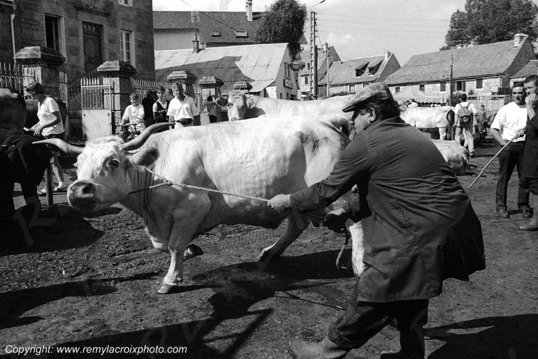 Epreuve de force,foire aux bestiaux de Nasbinals,Aubrac,Loz�re,France