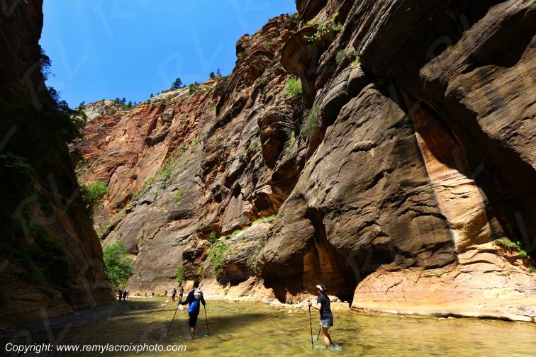 Riverside Walk Zion National Park Utah USA