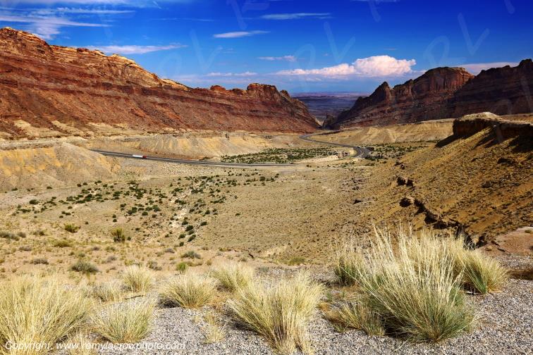 Spotted Wolf Canyon Utah USA