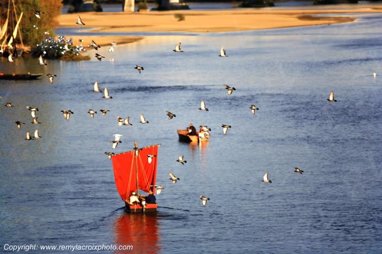 Orl�ans F�te de la Loire Loiret Centre Val de Loire France www.remylacroixphoto.com