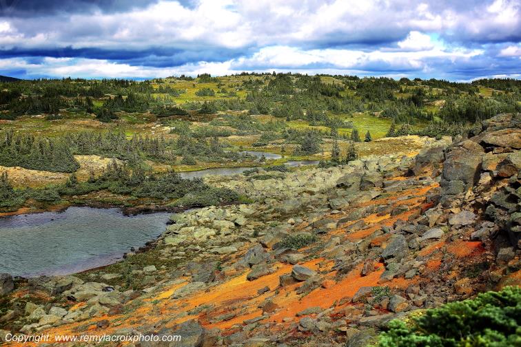 Tweedsmuir Provincial Park British Columbia Canada www.remylacroixphoto.com #tweedsmuir #britishcolumbia #canada