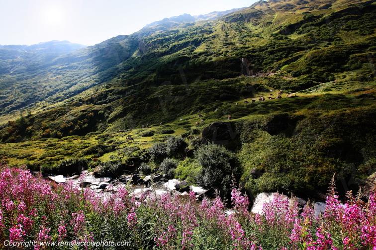 Nufenenpass Tessin Suisse Swiss Switzerland www.remylacroixphoto.com