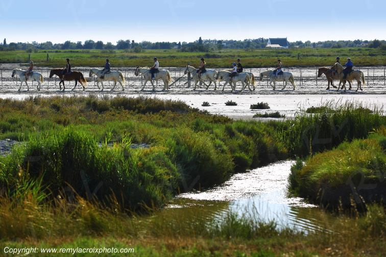 Les Saintes Maries-de-la-Mer Camargue Bouches du Rh�ne Provence Alpes C�te d'Azur France www.remylacroixphoto.com