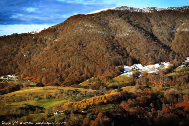 Col du Perthus Cantal Auvergne Rh�ne-Alpes France www.remylacroixphoto.com