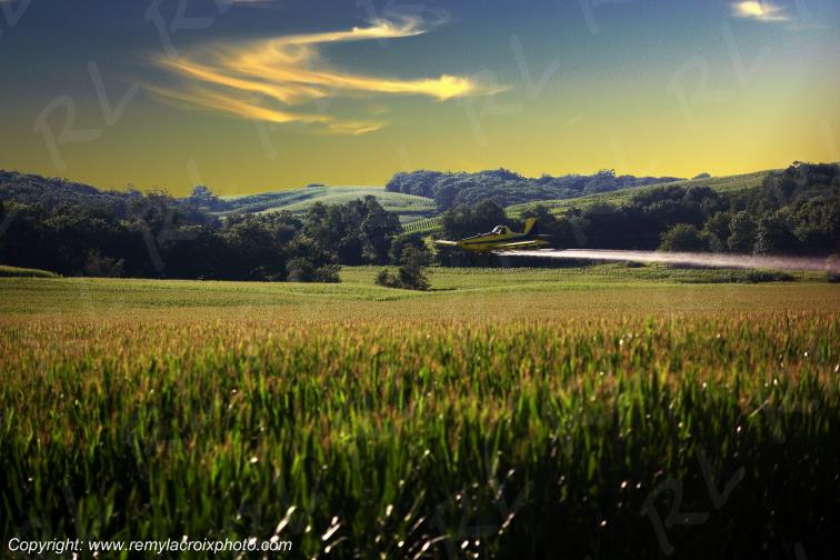 Herman Aerial Application �pandage a�rien Nebraska USA www.remylacroixphoto.com