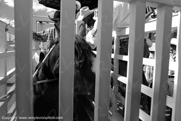 Cheyenne Frontier Days rodeo Wyoming USA www.remylacroixphoto.com