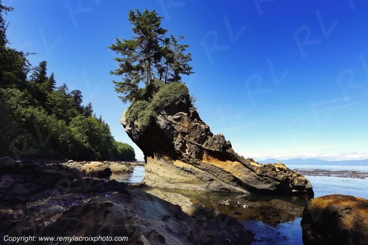 Juan de Fuca Strait Neah Bay Washington USA www.remylacroixphoto.com