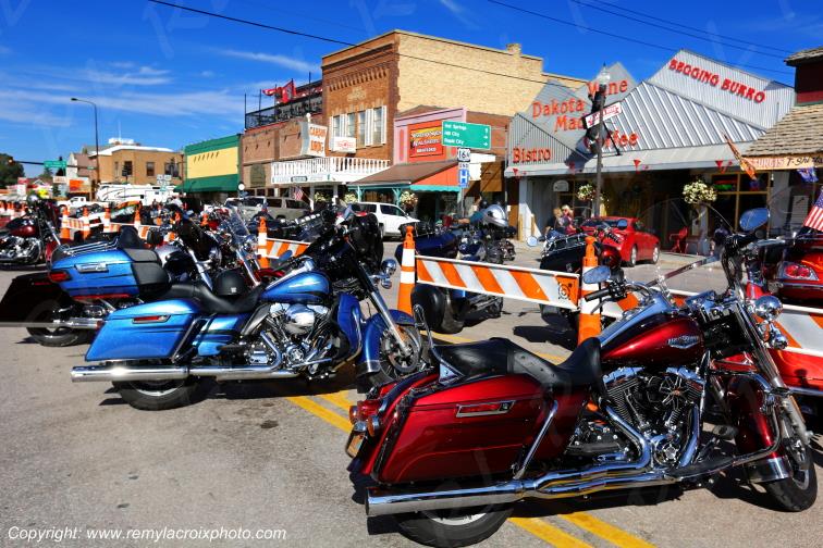 Custer Black Hills South Dakota USA