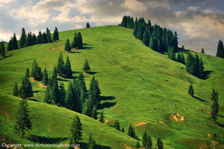 Moldovita Bucovine Moldave Romania Roumanie www.remylacroixphoto.com