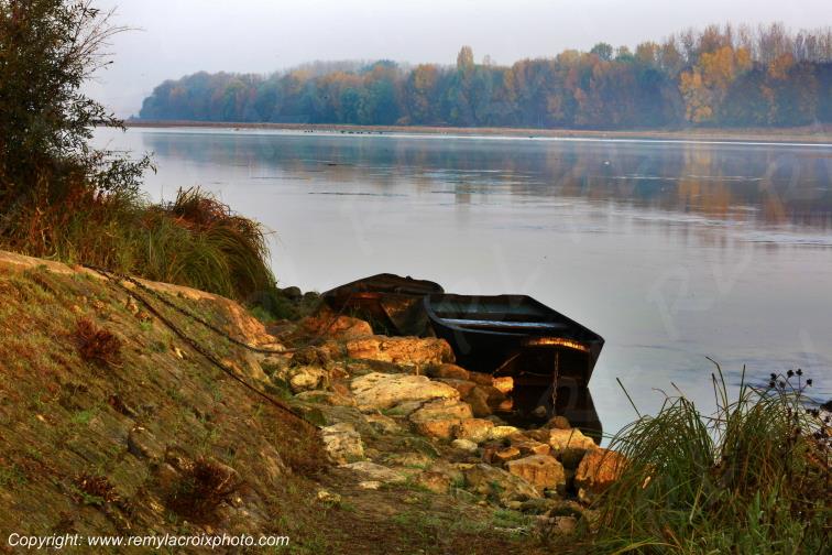 Candes Saint Martin la Vienne Indre et Loire Centre Val de Loire France