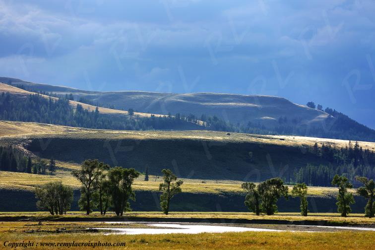 Lamar Valley Yellowstone National Park Wyoming USA www.remylacroixphoto.com