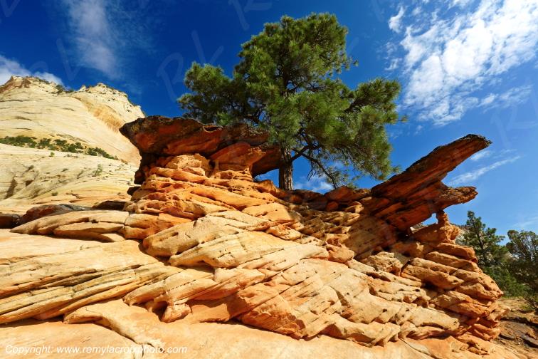 Mount Carmel Highway Zion National Park Utah USA