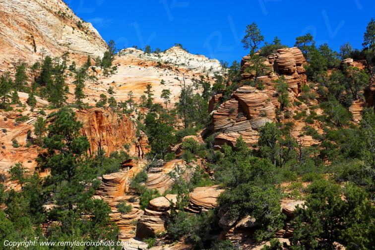 Mount Carmel Highway Zion National Park Utah USA