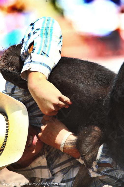 Rodeo Cheyenne Frontier Days Steer wrestling Wyoming USA www.remylacroixphoto.com