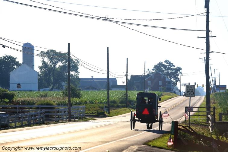 Lancaster Dutch County Amish Buggy Pennsylvania Pennsylvanie USA ww.remylacroixphoto.com
