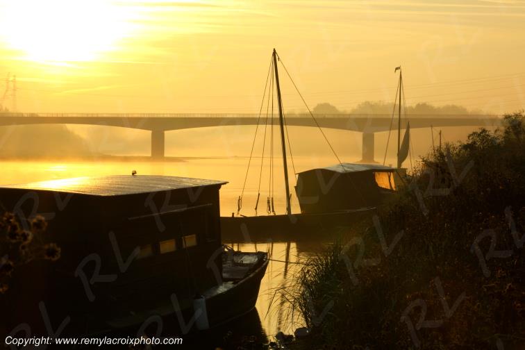 Candes Saint Martin la Vienne Indre et Loire Centre Val de Loire France