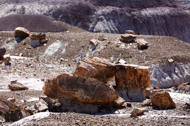 Blue Mesa Petrified Forest National Park Arizona USA