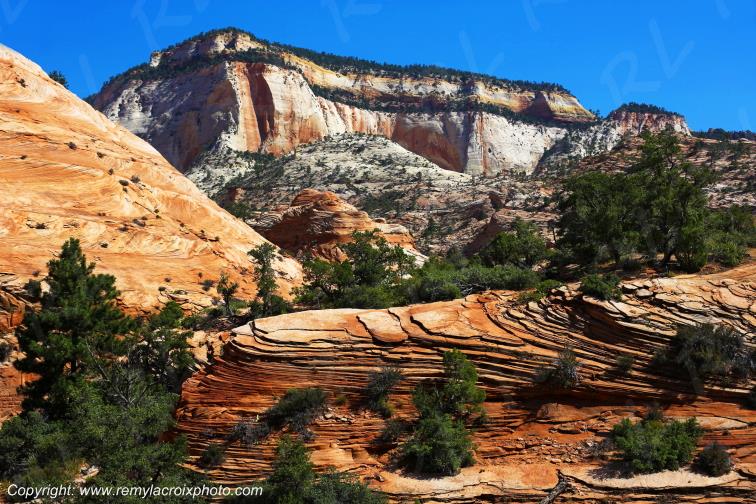 Mount Carmel Highway Zion National Park Utah USA