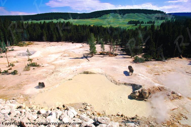Sulphur Caldron Yellowstone National Park Wyoming USA www.remylacroixphoto.com