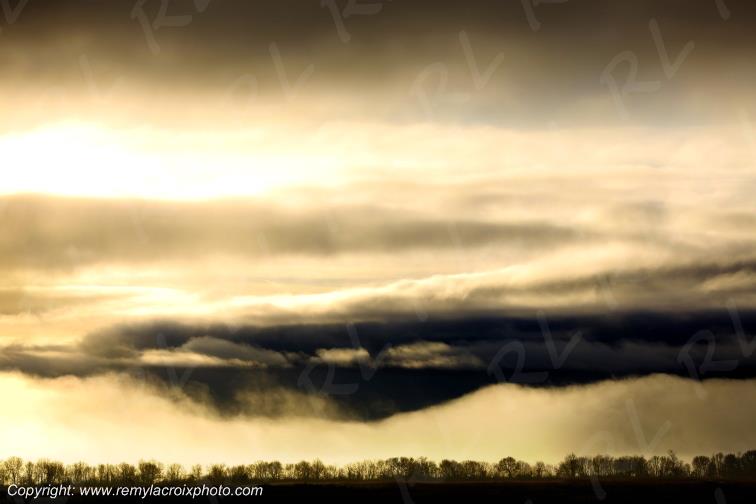 Rives de l'Estuaire de la Gironde Port Conac Charente-Maritime France