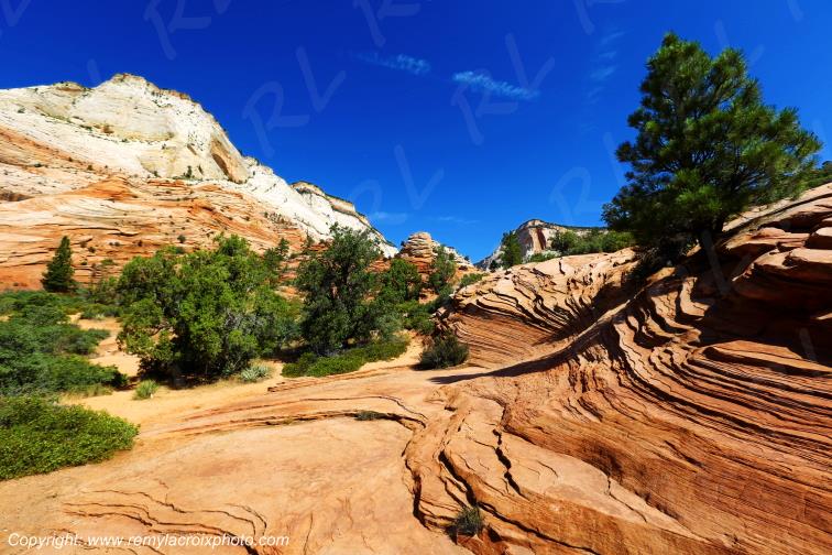 Mount Carmel Highway Zion National Park Utah USA