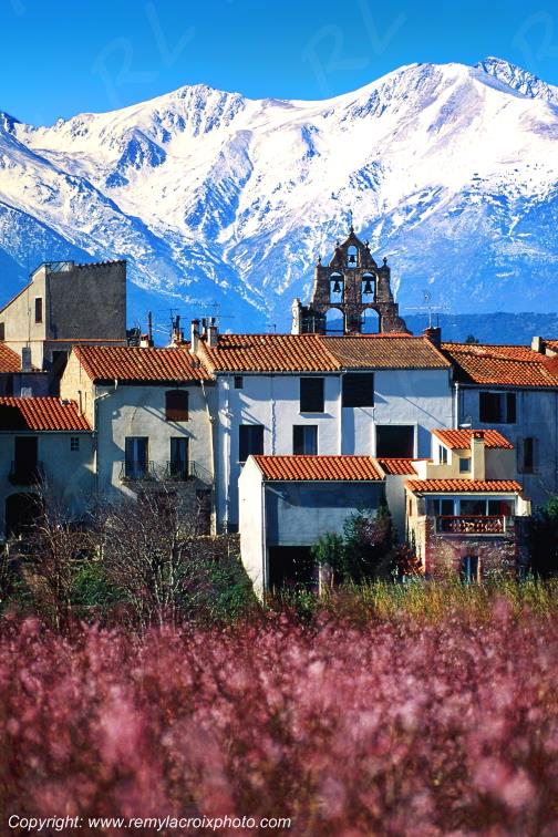 Trouillas Mont Canigou Pyr�n�es-Orientales Languedoc Roussillon France www.remylacroixphoto.com