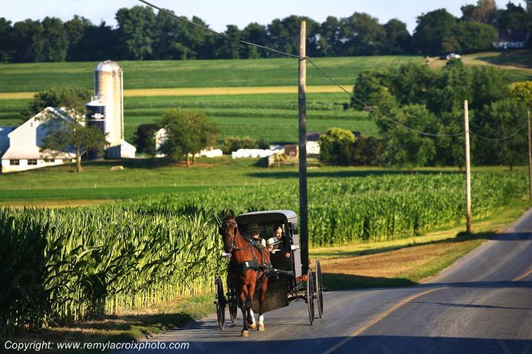 Lancaster Dutch County Amish Buggy Pennsylvania Pennsylvanie USA ww.remylacroixphoto.com