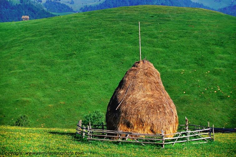 Paltinis Maramures Romania Roumanie www.remylacroixphoto.com