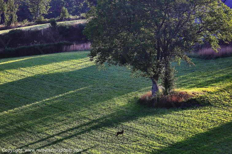 Felletin Millevaches Creuse Limousin Nouvelle Aquitaine France www.remylacroixphoto.com