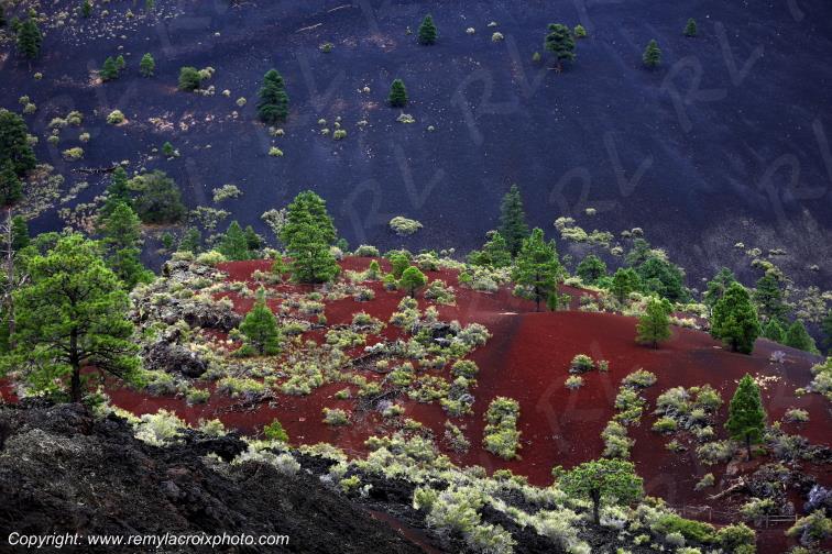 Sunset Crater National Monument,Arizona,USA